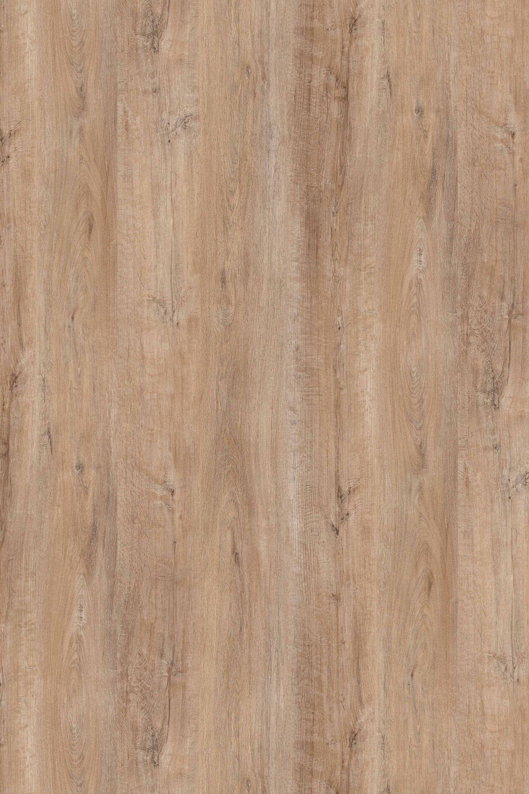 treviso 1000x1500mm 72dpi scaled